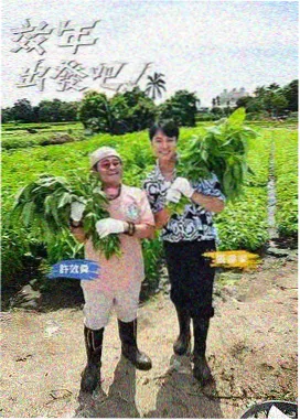 日常道具观察占位图